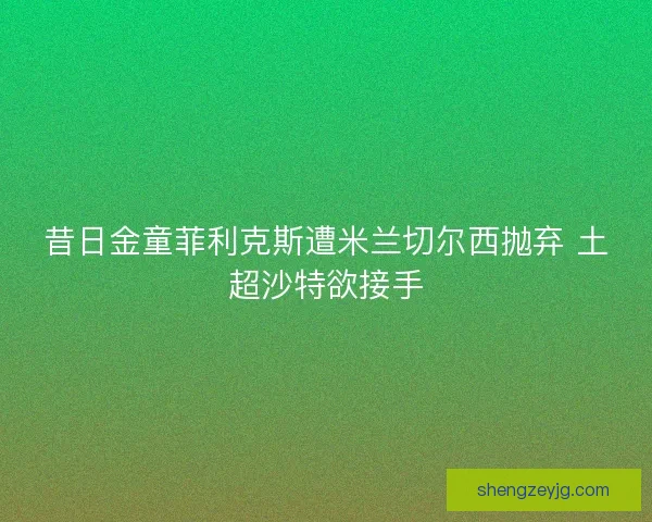 昔日金童菲利克斯遭米兰切尔西抛弃 土超沙特欲接手
